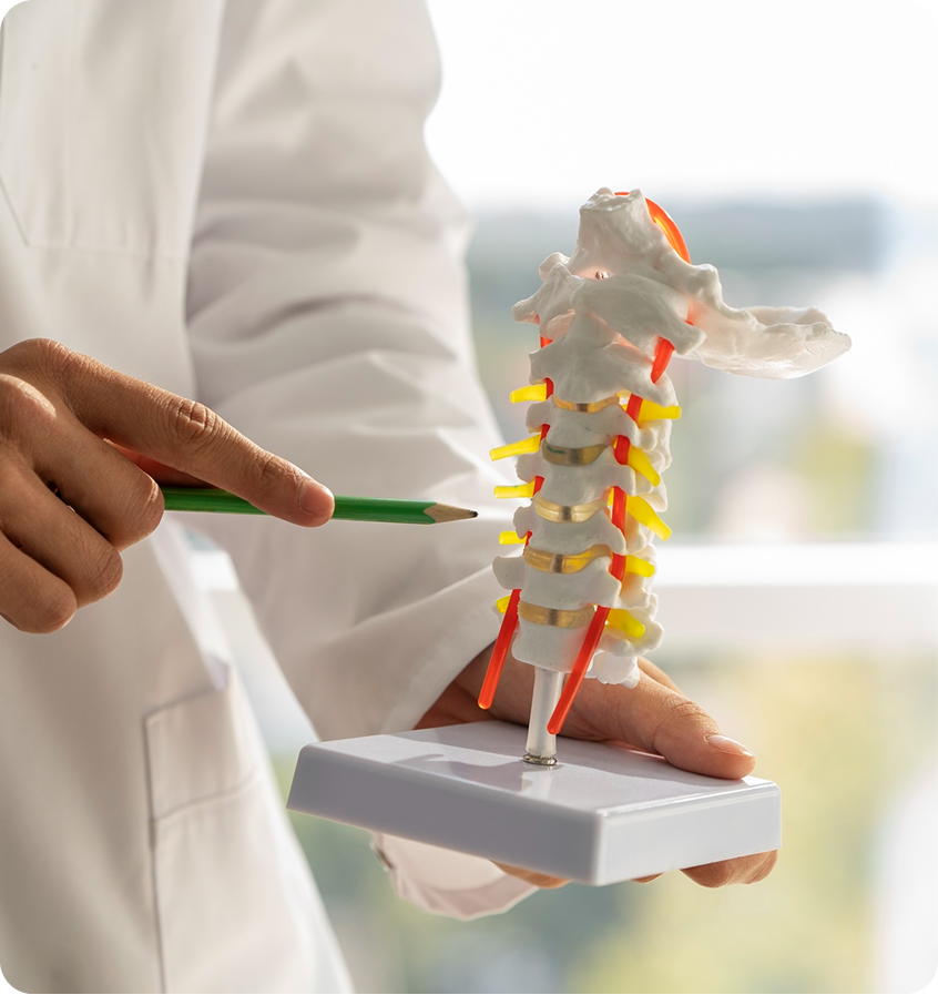 Clinician pointing to a lumbar spine model